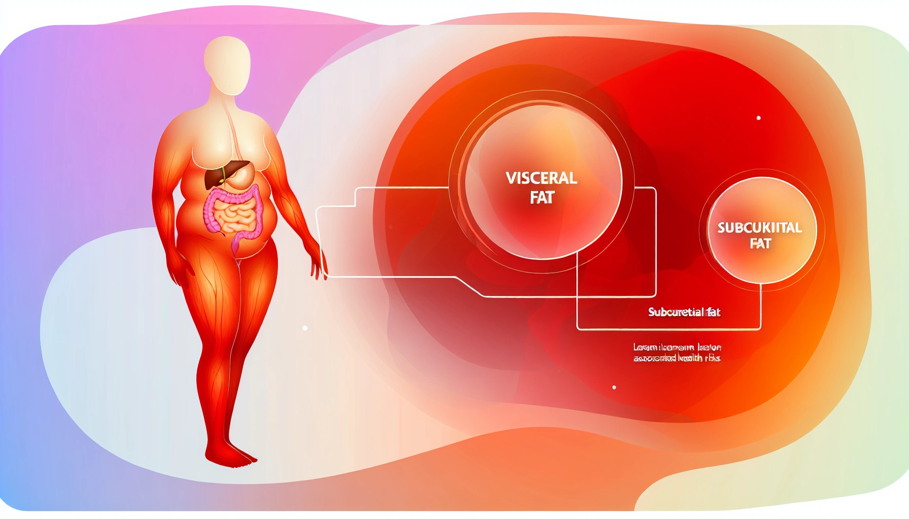 Visceral Fat Guide