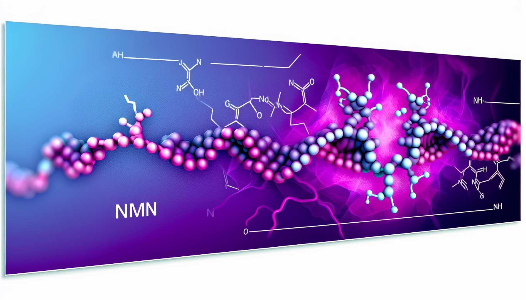NMN、NAD+、NR サプリメントの比較 - 細胞エネルギーと長寿を促進する NAD+ ブースター